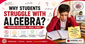Why Students Struggle with Algebra